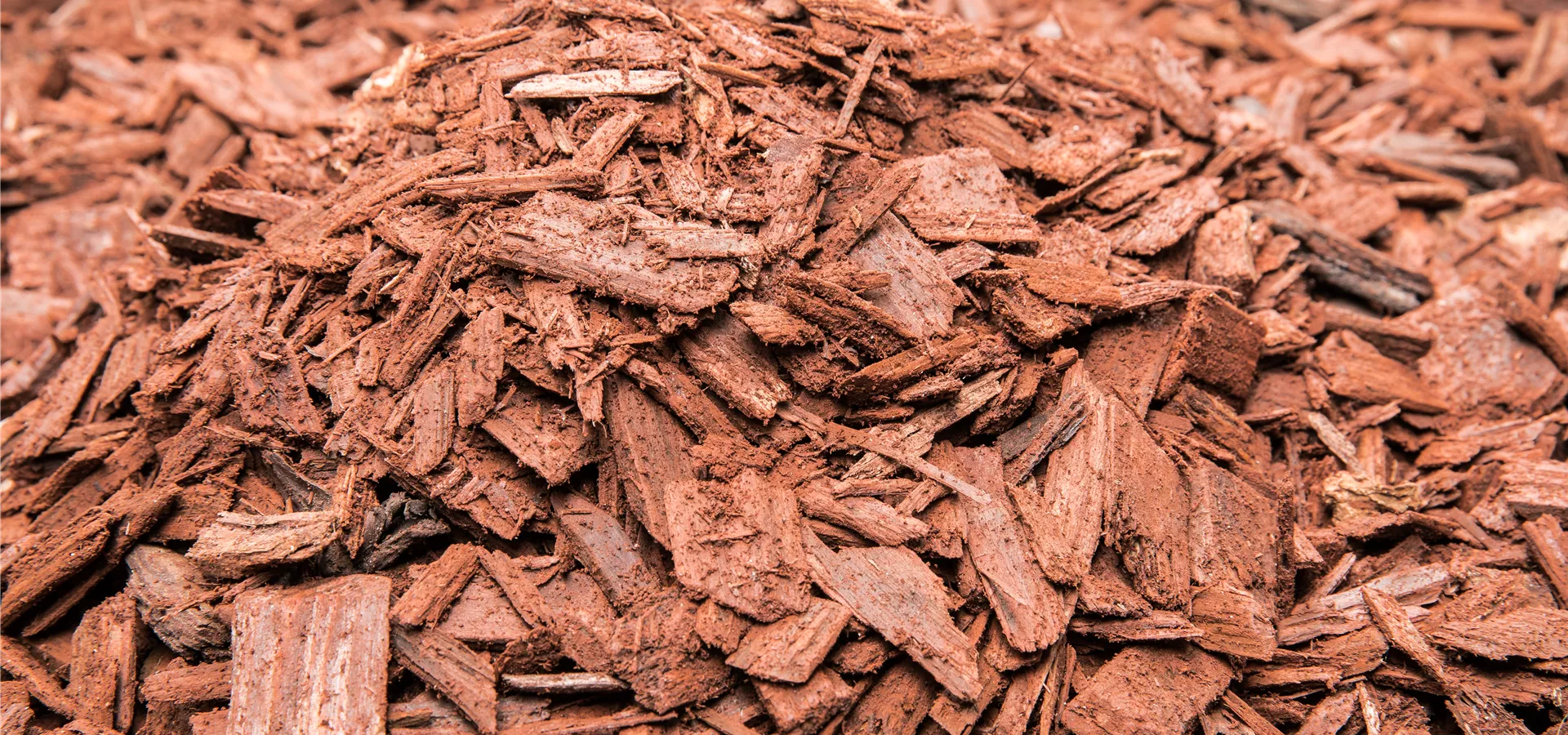 Farbiges Rindenmulch Farbiges Rindenmulch