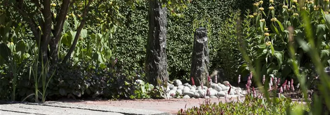 Der Wassergarten - Harmonie und Bewegung zugleich