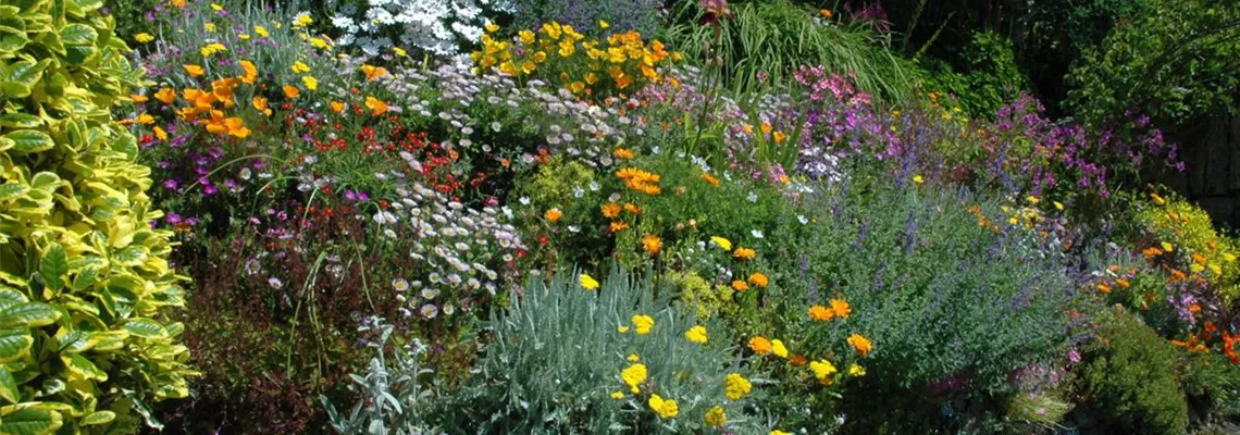 Mit einem Hügelbeet Abwechslung in den Garten bringen