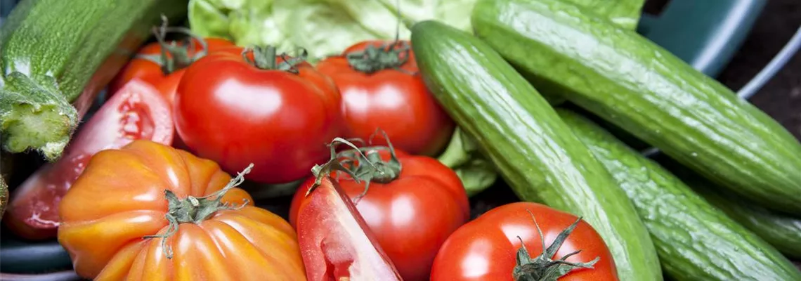Von Artischocke bis Zucchini: alles für den Bauerngarten