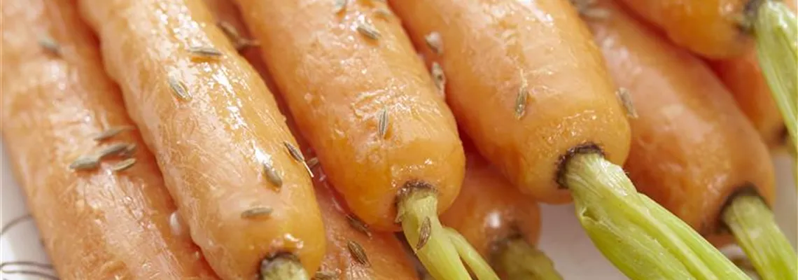 Tipps zur Lagerung von Wurzelgemüse