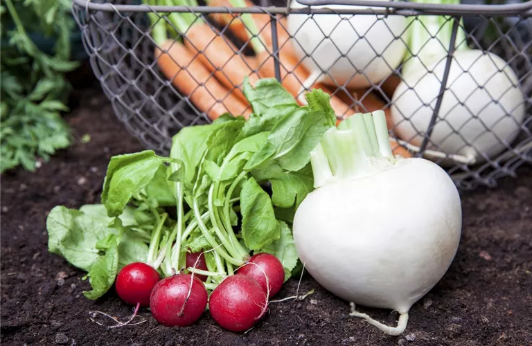 Erntegut haltbar machen Erntegut haltbar machen